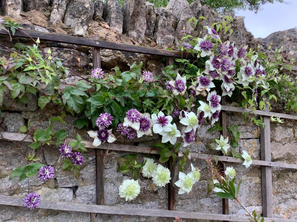 Hollyhock Cottage, Clematis Cottages, Stamford Ngoại thất bức ảnh