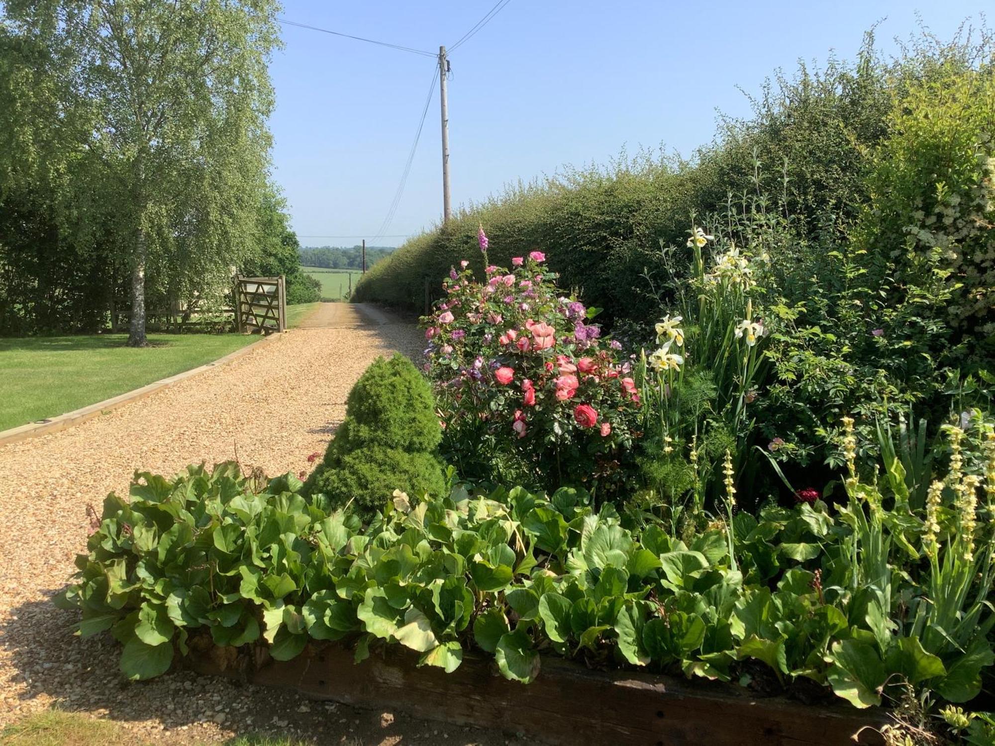 Hollyhock Cottage, Clematis Cottages, Stamford Ngoại thất bức ảnh
